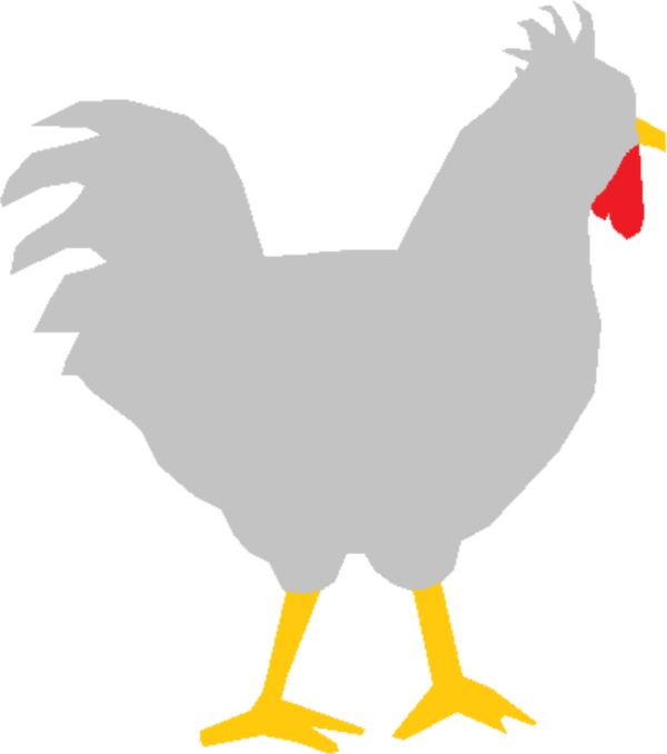 Free Bird Chicken Bird Beak Clipart Clipart Transparent Background