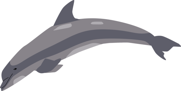 Free Dolphin Dolphin Black And White Fin Clipart Clipart Transparent Background