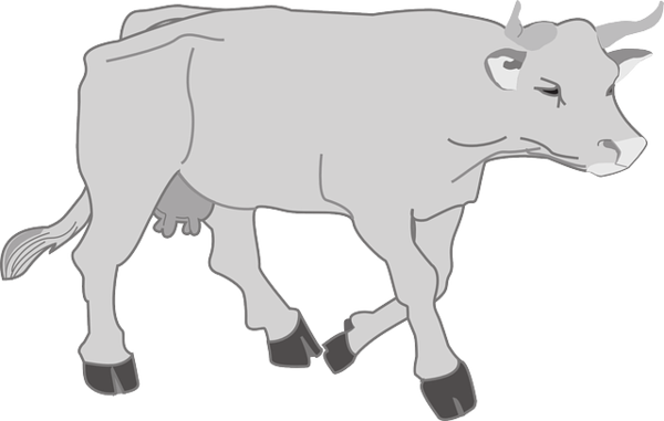 Free Cow Line Art Horn Goats Clipart Clipart Transparent Background