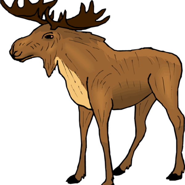 Free Deer Wildlife Horse Deer Clipart Clipart Transparent Background