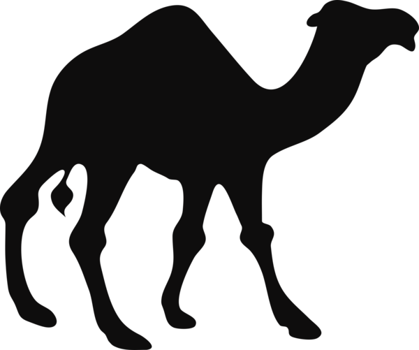 Free Camel Camel Black And White Camel Like Mammal Clipart Clipart Transparent Background