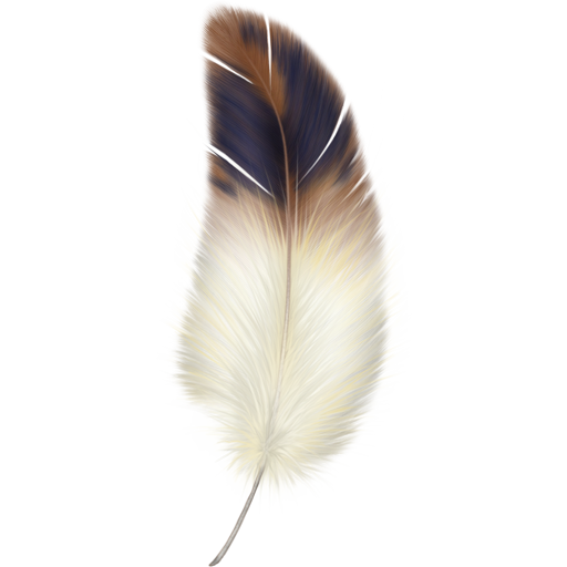 Free Bird Feather Quill Clipart Clipart Transparent Background