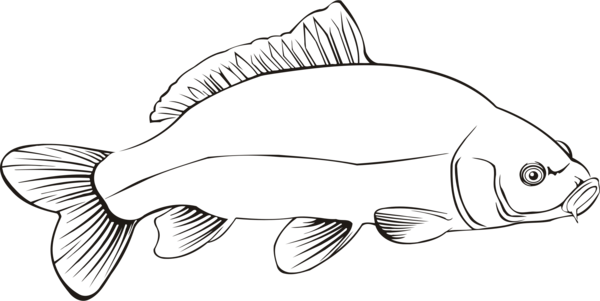 Free Fishing Fish Line Art Black And White Clipart Clipart Transparent Background