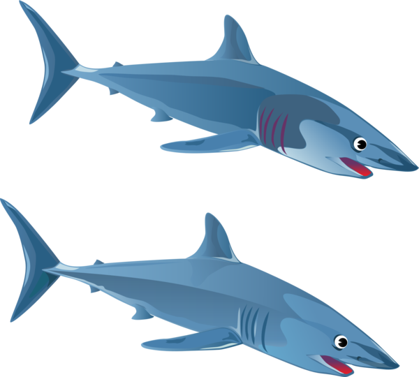 Free Fish Fish Shark Fin Clipart Clipart Transparent Background