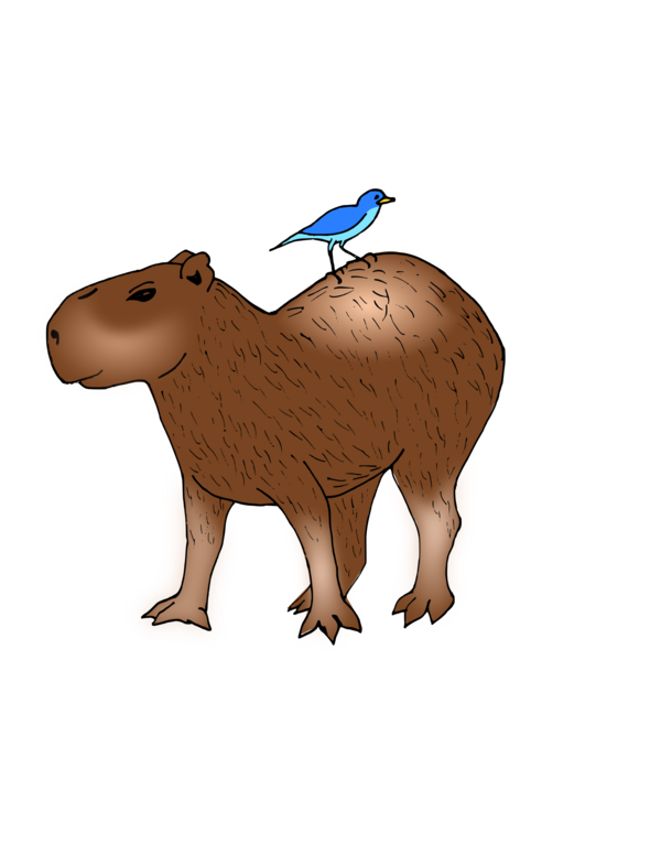 Free Bear Wildlife Capybara Snout Clipart Clipart Transparent Background