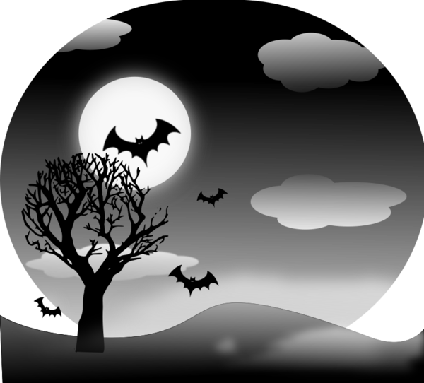 Free Bat Black And White Silhouette Sky Clipart Clipart Transparent Background