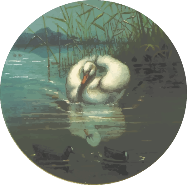 Free Bird Water Bird Bird Ducks Geese And Swans Clipart Clipart Transparent Background