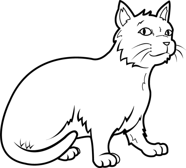 Free Cat Cat Line Art Wildlife Clipart Clipart Transparent Background