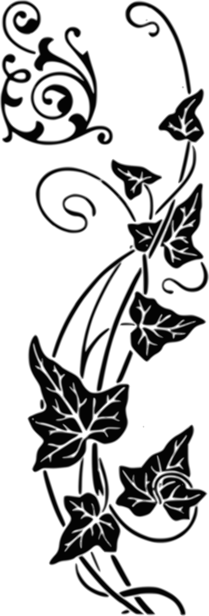 Free Butterfly Black And White Flower Flora Clipart Clipart Transparent Background