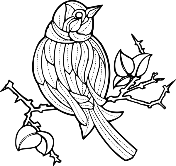 Free Bird Bird Beak Line Art Clipart Clipart Transparent Background