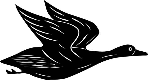Free Bird Bird Beak Black And White Clipart Clipart Transparent Background