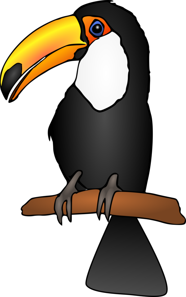Free Bird Bird Toucan Beak Clipart Clipart Transparent Background