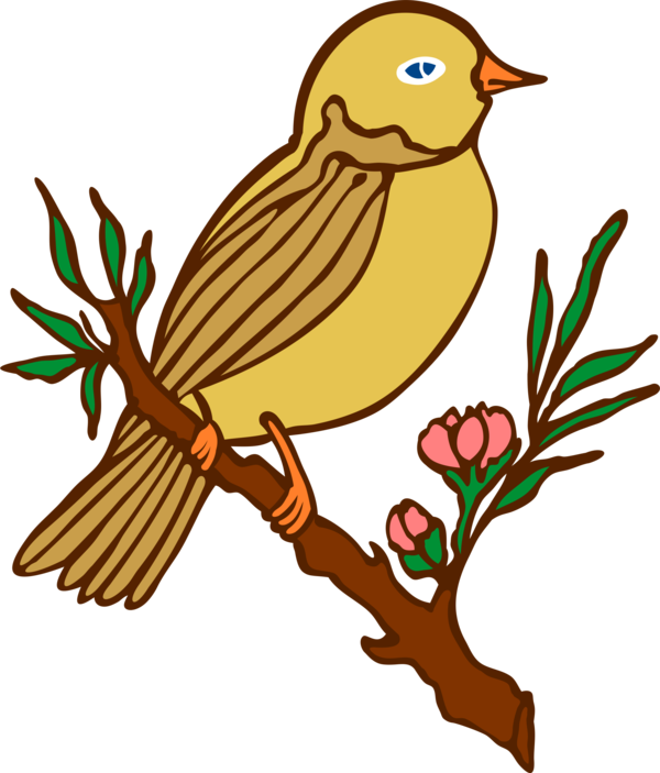 Free Bird Beak Bird Branch Clipart Clipart Transparent Background