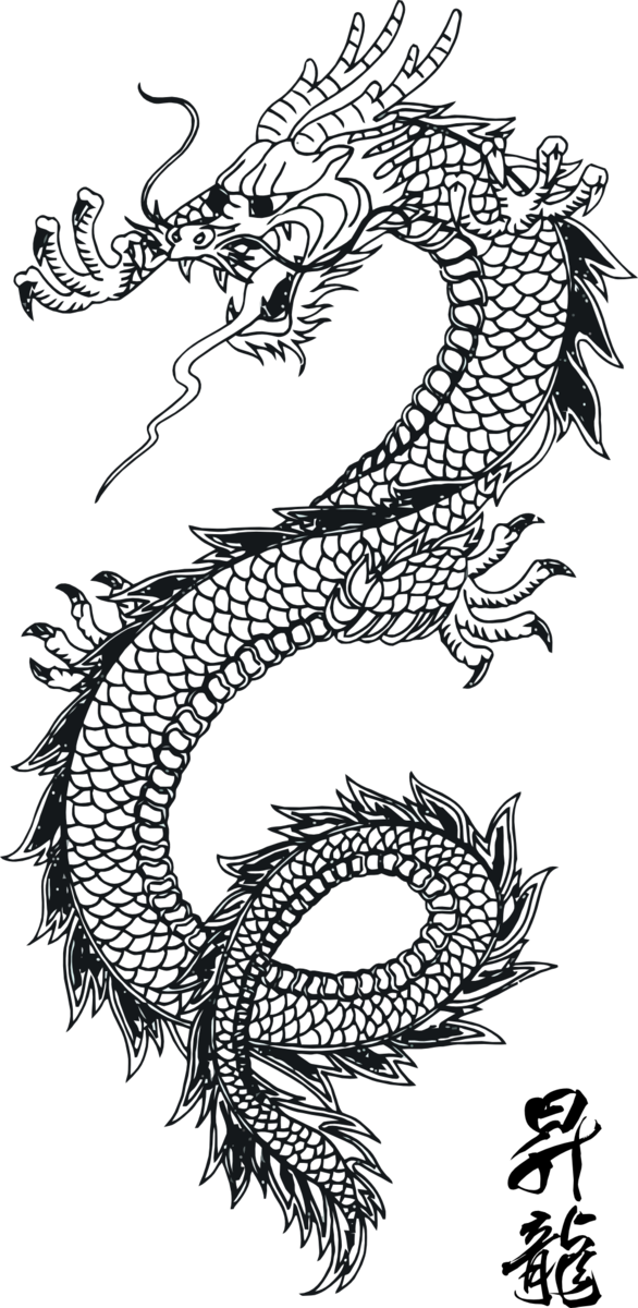 Free Dragon Line Art Dragon Black And White Clipart Clipart Transparent Background