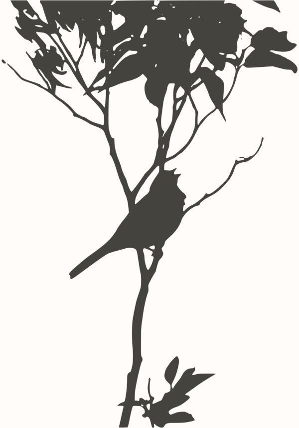 Free Bird Branch Tree Black And White Clipart Clipart Transparent Background