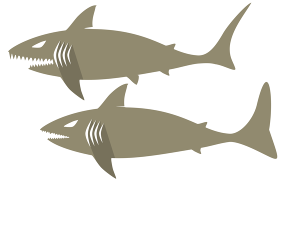 Free Fish Fish Shark Requiem Shark Clipart Clipart Transparent Background