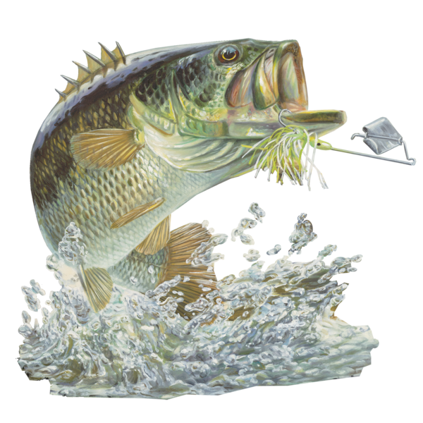 Free Fishing Fish Bass Perch Clipart Clipart Transparent Background