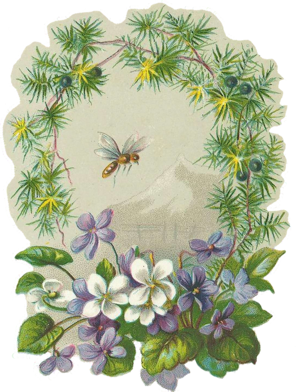 Free Frog Flower Flora Plant Clipart Clipart Transparent Background