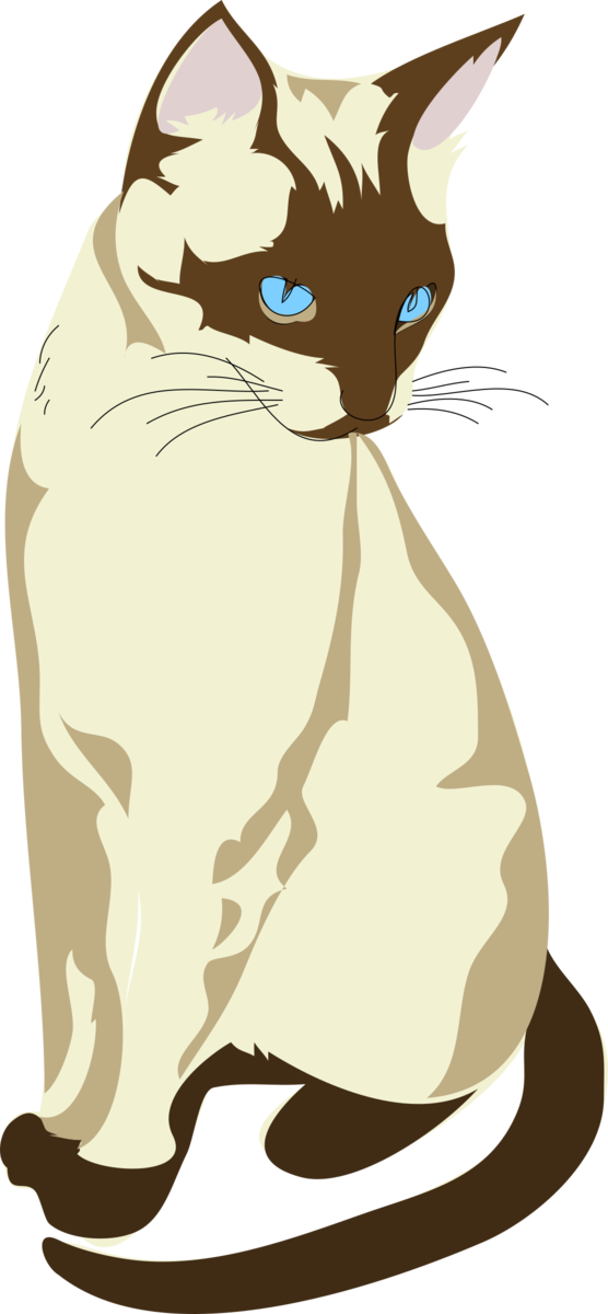 Free Cat Cat Whiskers Paw Clipart Clipart Transparent Background