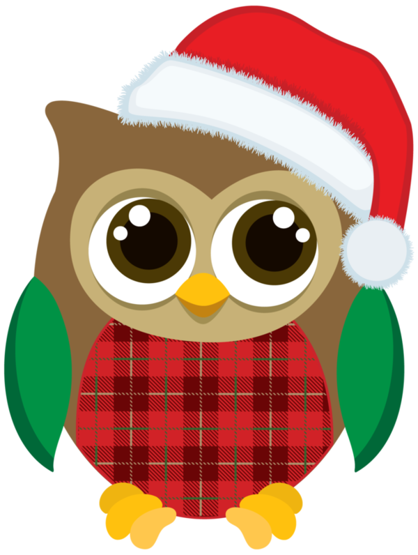 Free Bird Owl Eyewear Bird Clipart Clipart Transparent Background