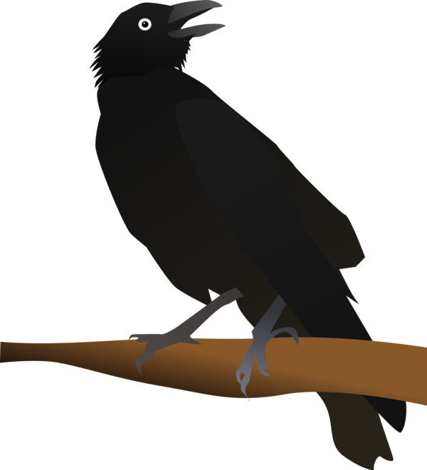 Free Bird Bird Beak American Crow Clipart Clipart Transparent Background