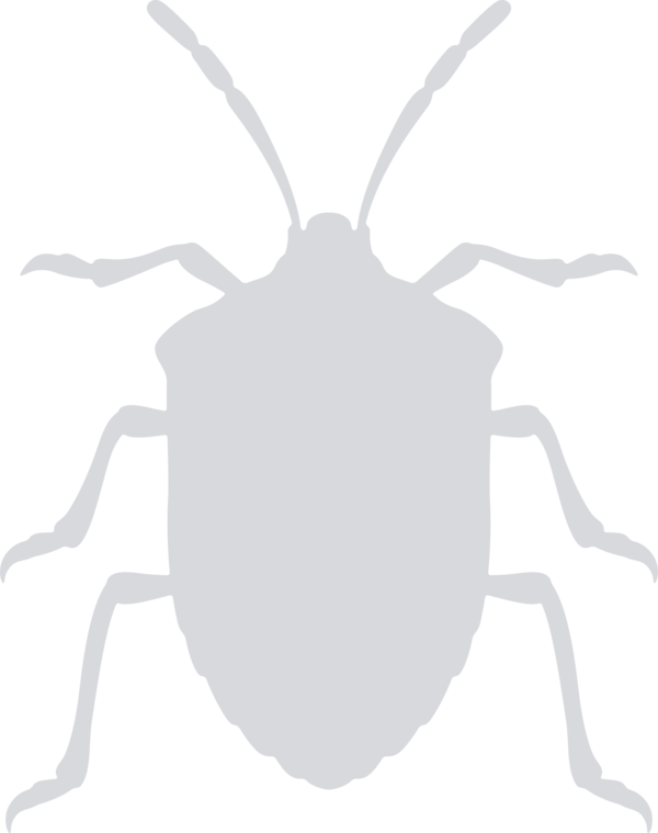 Free Insect Black And White Line Circle Clipart Clipart Transparent Background