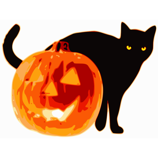 Free Cat Cat Pumpkin Whiskers Clipart Clipart Transparent Background