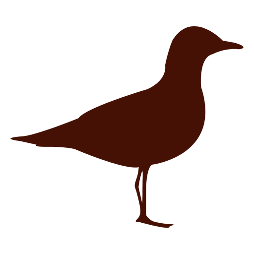 Free Bird Bird Beak Water Bird Clipart Clipart Transparent Background