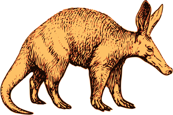 Free Fox Macropodidae Wildlife Kangaroo Clipart Clipart Transparent Background