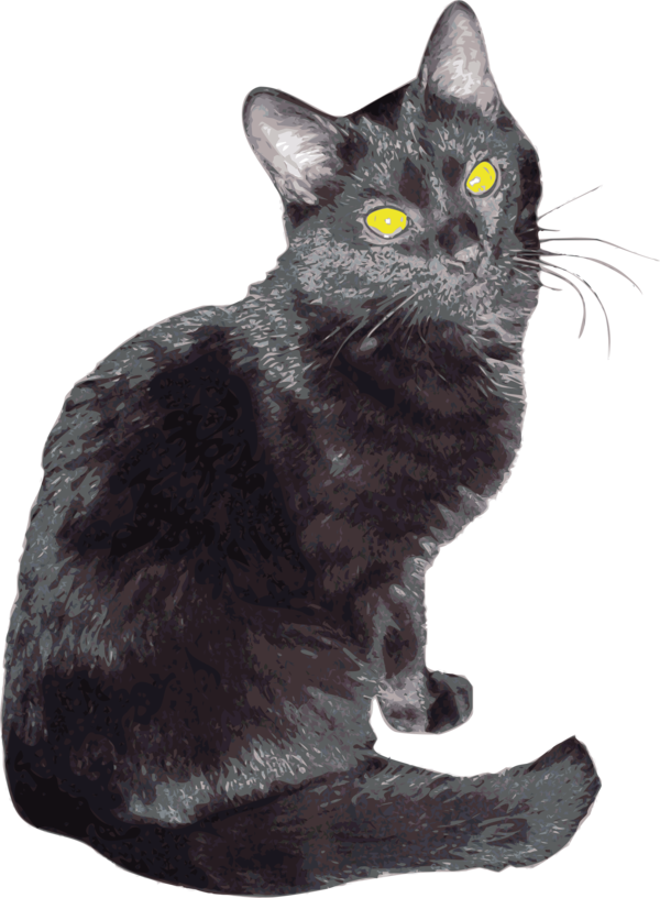 Free Cat Cat Black Cat Bombay Clipart Clipart Transparent Background