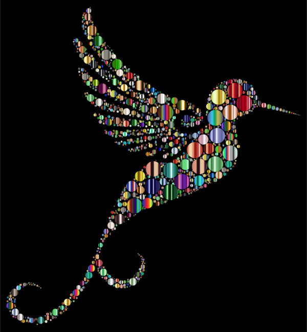 Free Hummingbird Line Serpent Clipart Clipart Transparent Background