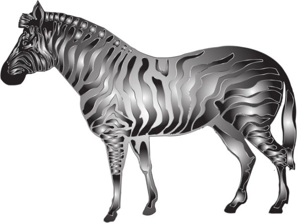 Free Horse Zebra Black And White Horse Clipart Clipart Transparent Background