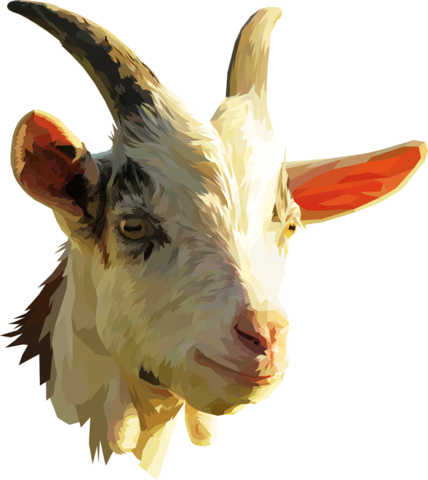 Free Goat Goat Goats Horn Clipart Clipart Transparent Background