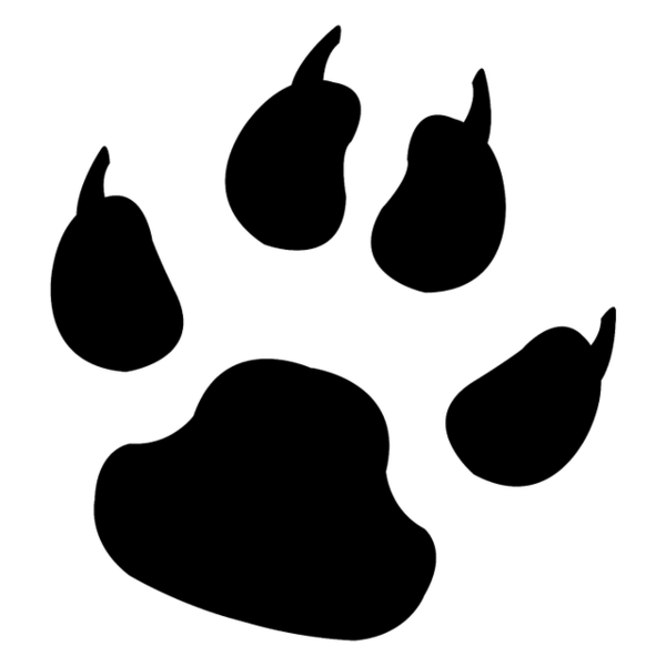 Free Cat Black And White Nose Silhouette Clipart Clipart Transparent Background