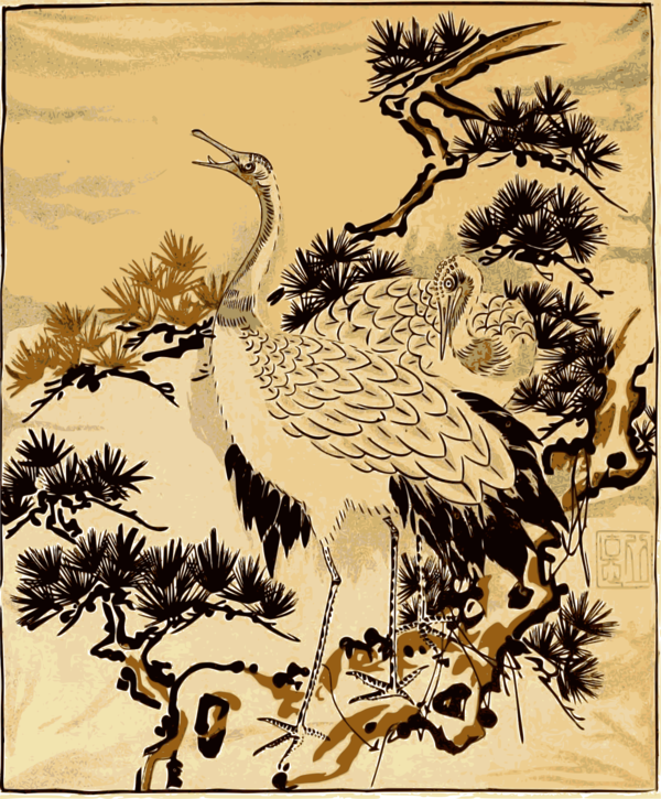 Free Bird Bird Tree Beak Clipart Clipart Transparent Background