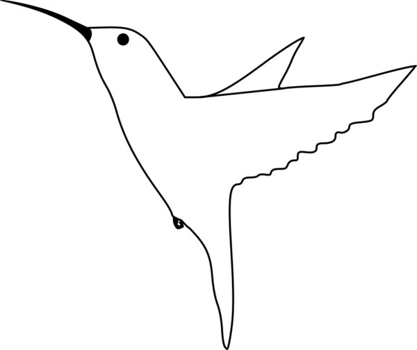 Free Bird Bird Beak Line Art Clipart Clipart Transparent Background