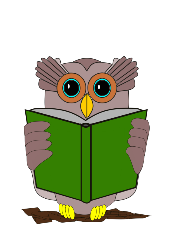 Free Reading Owl Bird Beak Clipart Clipart Transparent Background