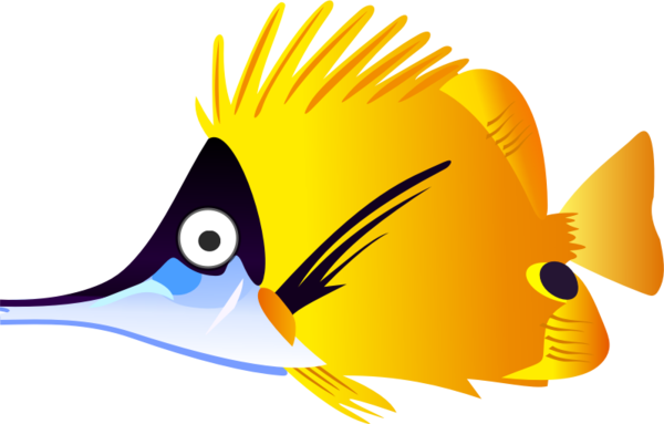 Free Bird Fish Beak Bird Clipart Clipart Transparent Background