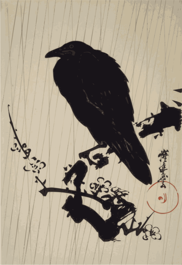 Free Bird Bird Crow American Crow Clipart Clipart Transparent Background