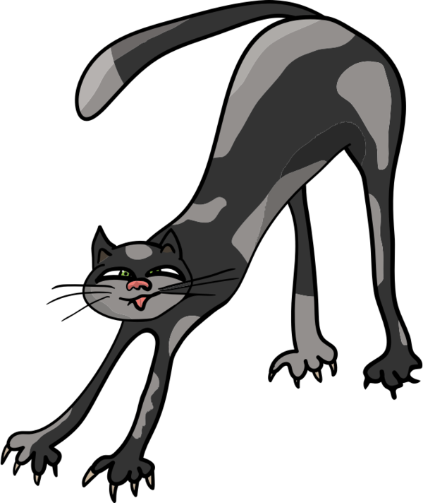 Free Cat Cat Black And White Tail Clipart Clipart Transparent Background