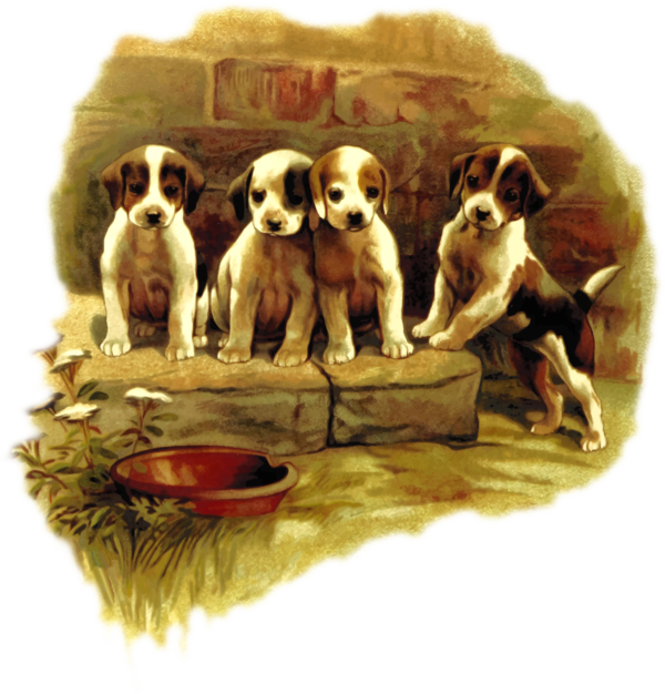 Free Dog Dog Cavalier King Charles Spaniel Companion Dog Clipart Clipart Transparent Background