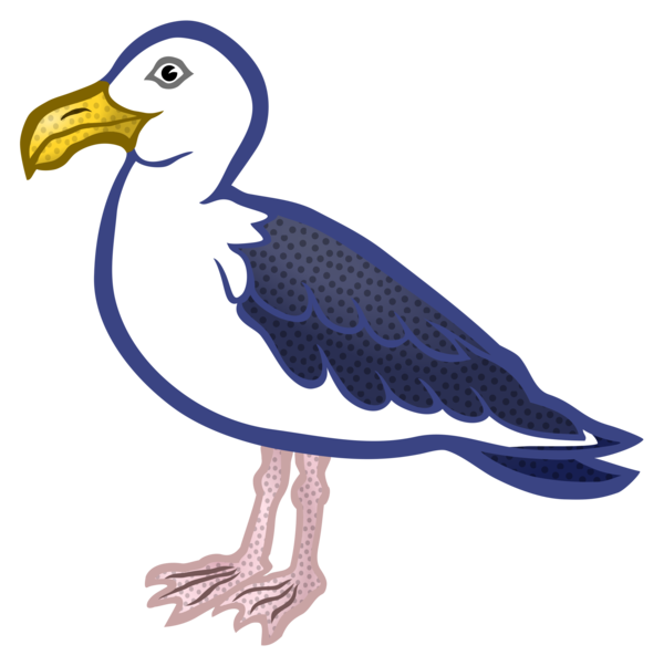 Free Bird Beak Bird Seabird Clipart Clipart Transparent Background