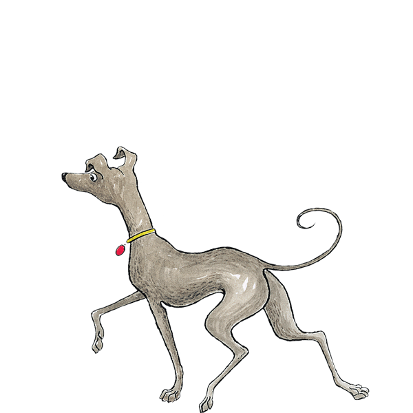 Free Dog Dog Italian Greyhound Whippet Clipart Clipart Transparent Background