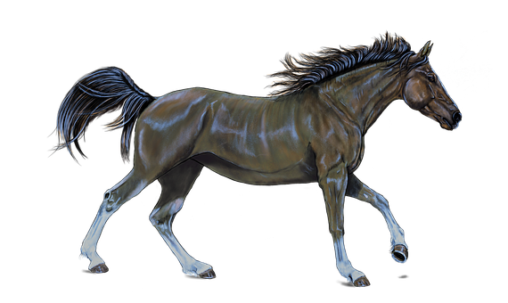 Free Horse Horse Mane Stallion Clipart Clipart Transparent Background