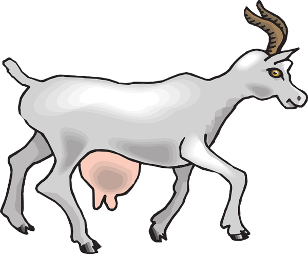 Free Deer Horn Goats Wildlife Clipart Clipart Transparent Background