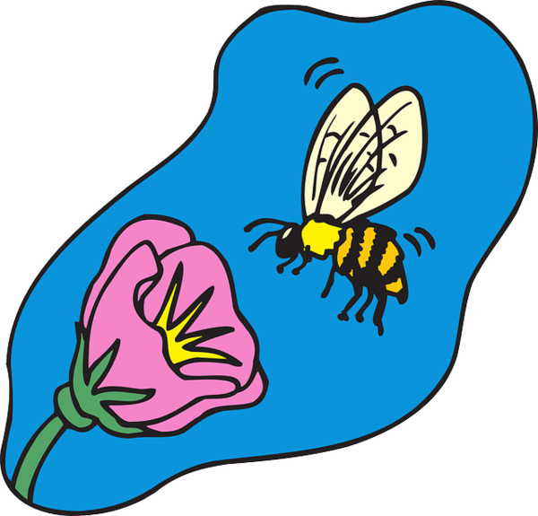 Free Bee Headgear Pollinator Clipart Clipart Transparent Background