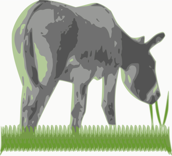 Free Donkey Wildlife Grass Grassland Clipart Clipart Transparent Background