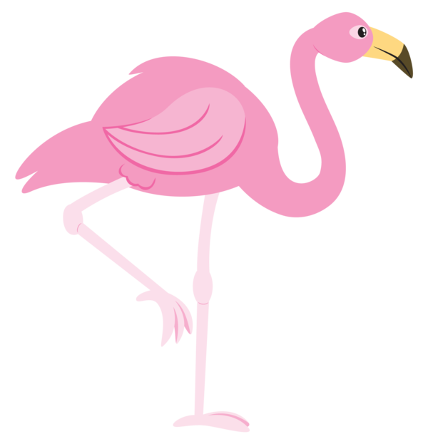 Free Bird Bird Water Bird Flamingo Clipart Clipart Transparent Background