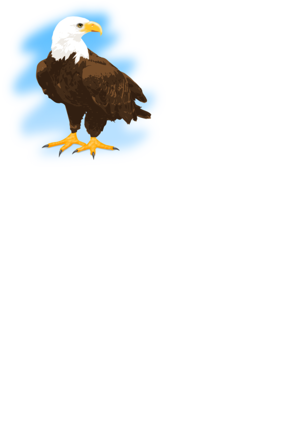 Free Bird Bird Bird Of Prey Eagle Clipart Clipart Transparent Background
