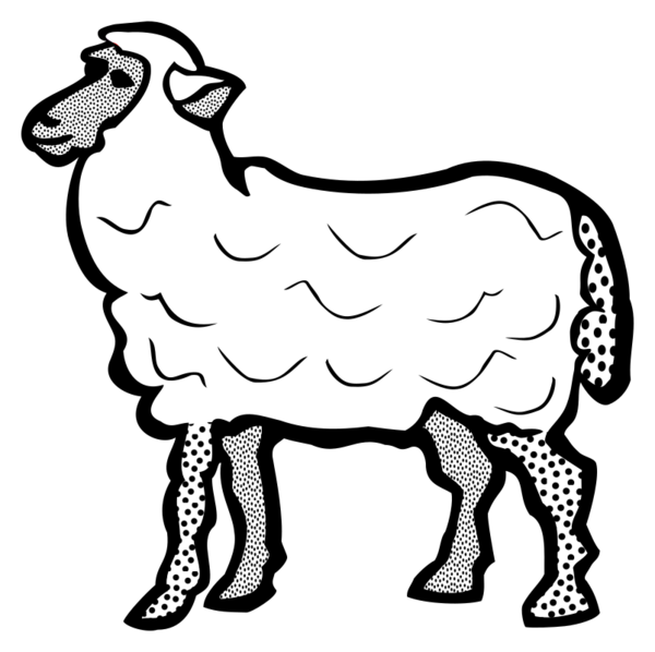 Free Lamb Black And White Sheep Wildlife Clipart Clipart Transparent Background